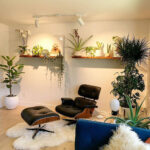 Inspiration Für Dein Schönes Wohnzimmer Mit Pflanzen