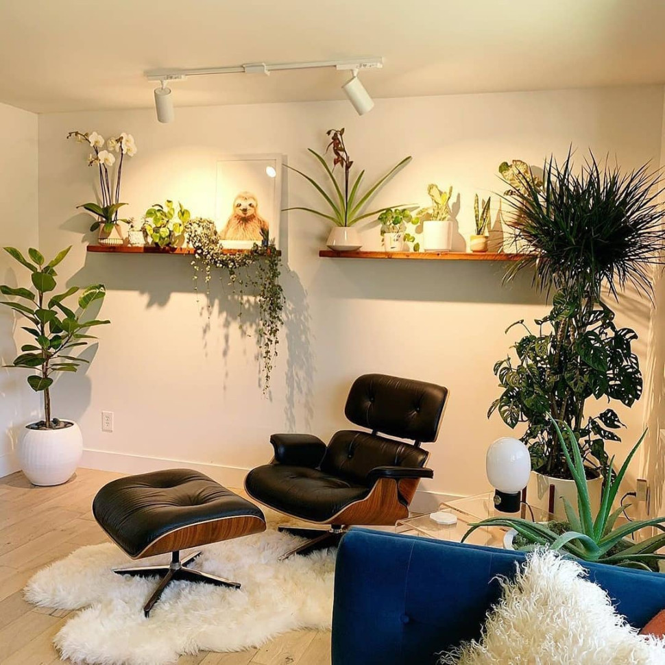 Inspiration für dein schönes Wohnzimmer mit Pflanzen